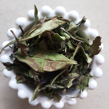 Bai Mu Dan
