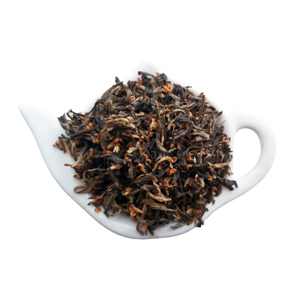 Osmanthus Golden Tip