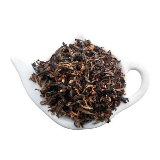Osmanthus Golden Tip
