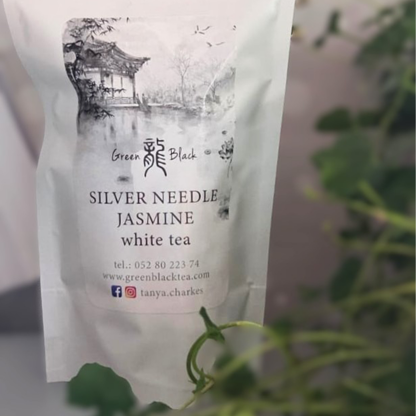 Jasmine Silver Needles
